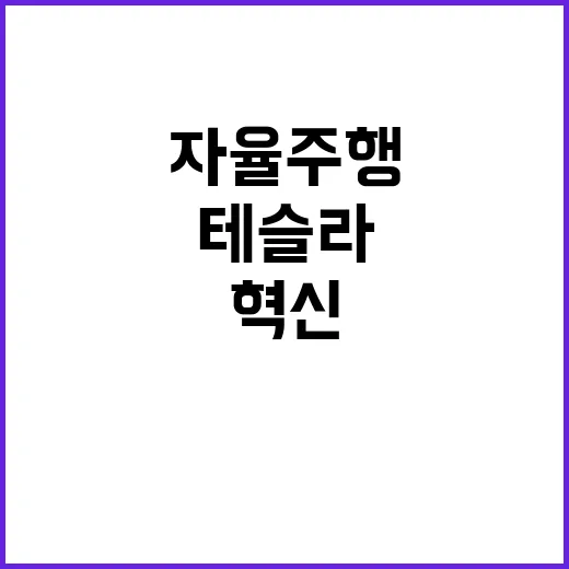 테슬라 로보택시 자율주행차 산업 혁신 예고!