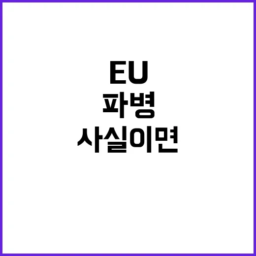 EU 대응 검토 북한 러 파병 사실이면 추가 제재!