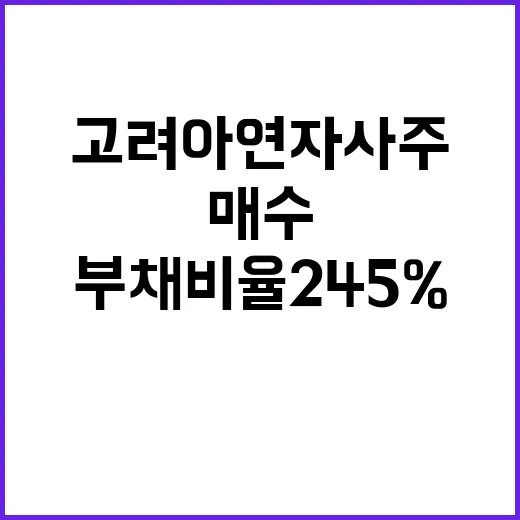 고려아연 자사주 매수로 부채비율 245% 예측!