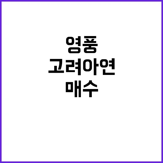 영풍 가처분 승소 고려아연 매수는 얼마나?