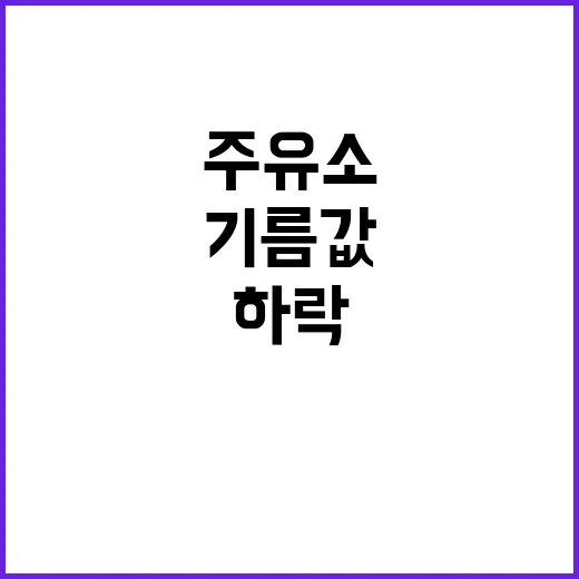 기름값 하락 주유소에서 만나는 가격 변화!