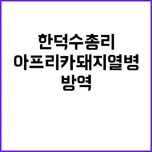 아프리카돼지열병 한덕수 총리의 긴급 방역 요청!