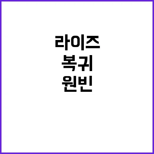 라이즈 복귀 원빈의…