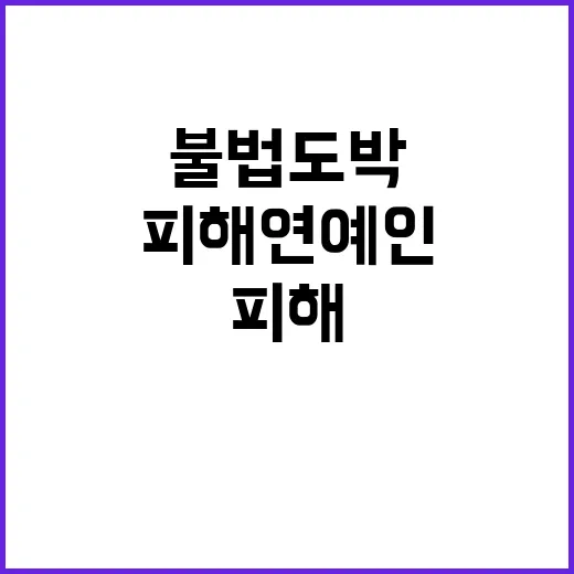 불법 도박 피해 연…