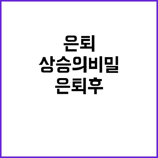 기능사 은퇴 후 몸…