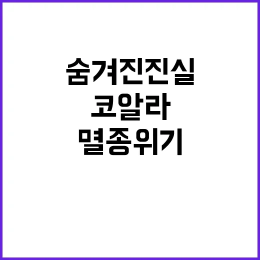 코알라 멸종 위기 속 숨겨진 진실 공개!