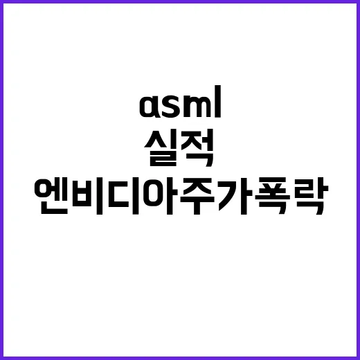 ASML 실적 부진 엔비디아 주가 폭락 이유 공개!