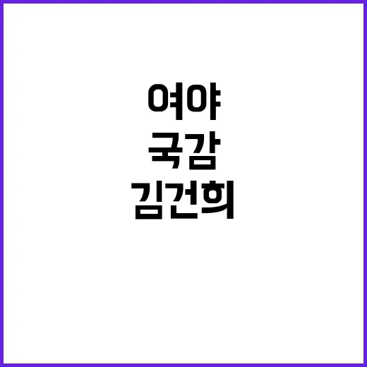 국감 이슈 여야 김건희 발언 전격 분석!