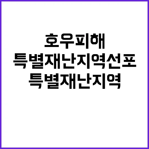 호우피해 14개 특별재난지역 선포 소식!