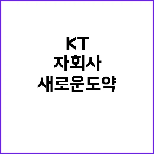 KT 자회사 설립으…