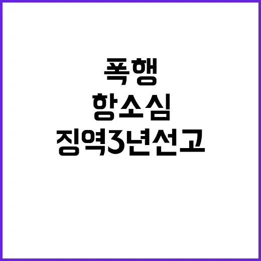 폭행 사건 항소심에서 징역 3년 선고!