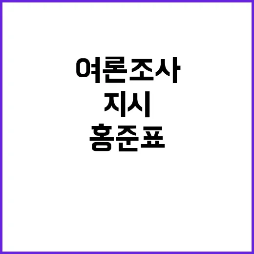 여론조사 윤 대통령…