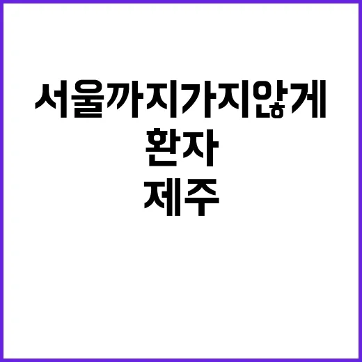 “제주 환자 서울까지 가지 않게 하는 방법!”