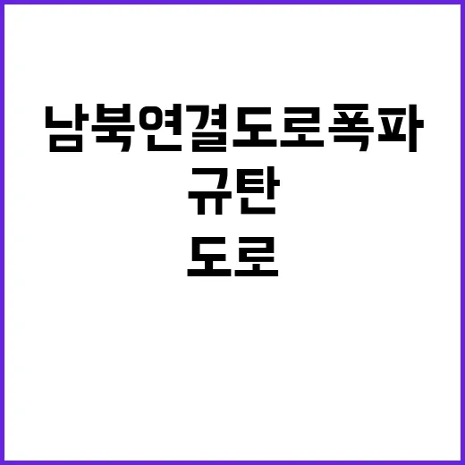 남북 연결도로 폭파 한미일 위협 규탄!