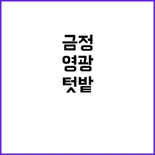 금정 승리! 영광 …