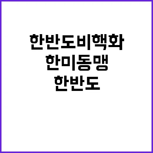 한반도 비핵화 한미…