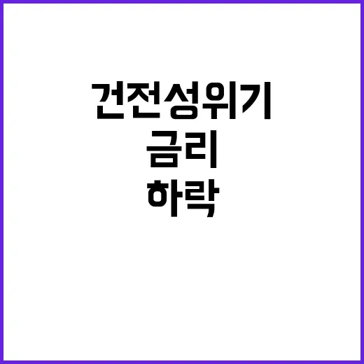 금리 하락 보험사 …