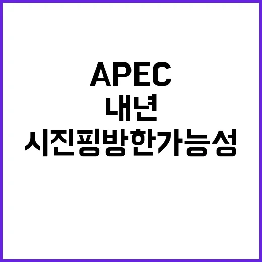 시진핑 방한 가능성 내년 APEC 주목받는 이유!