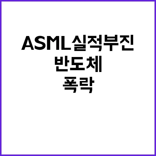 ASML 실적 부진 반도체 주가 폭락 이유 공개!