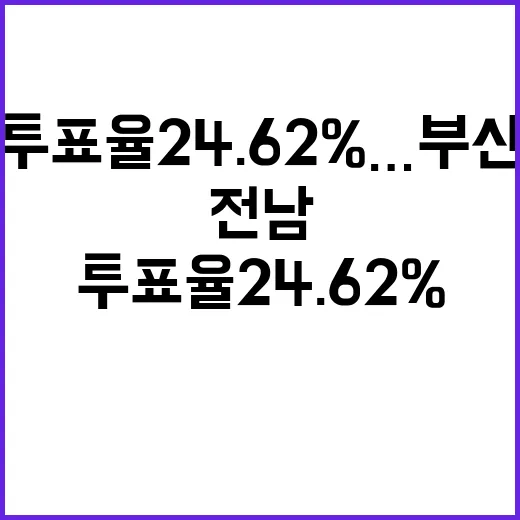 투표율 24.62%…부산과 전남에서 눈에 띄는 수치!