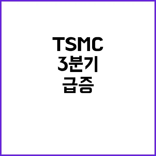 TSMC AI 칩 덕분에 3분기 순익 급증!