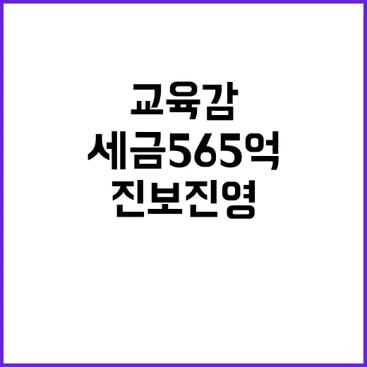 세금 565억 진보…