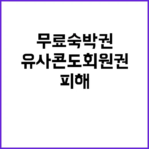 무료 숙박권 유사콘…