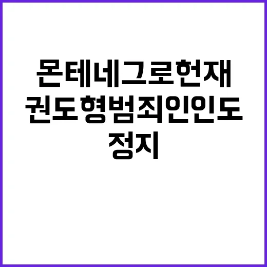 몬테네그로 헌재 권도형 범죄인 인도 정지 결정!