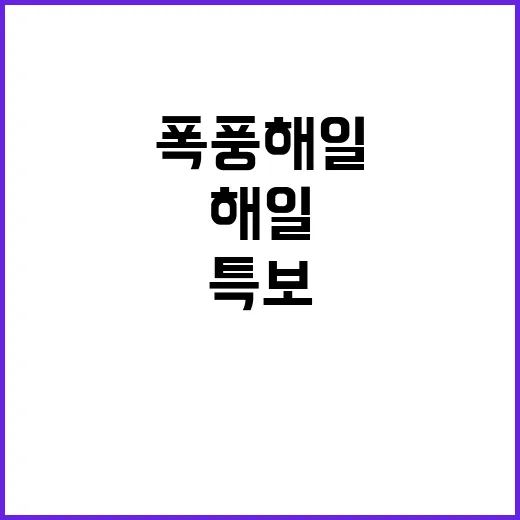 서해안 호우특보! 폭풍해일 경고 긴급 확인 필요!