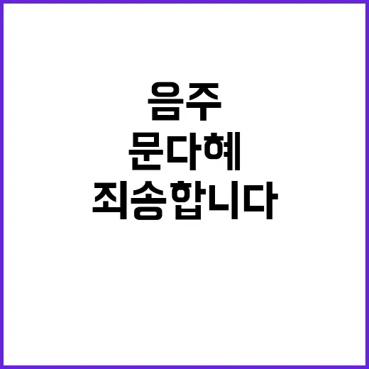 음주 사고 문다혜의…