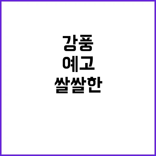 강풍 속 비 쌀쌀한…