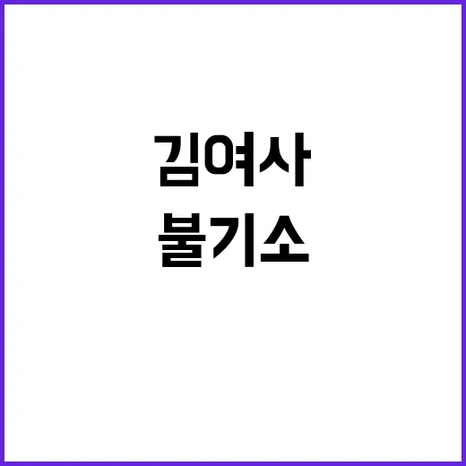 김여사 불기소 여야…