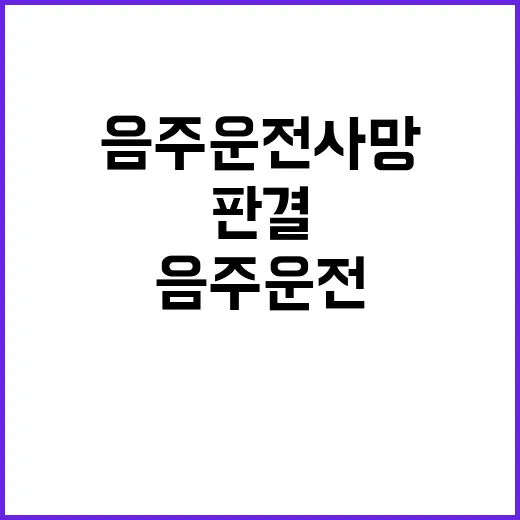 음주운전 사망 판결…