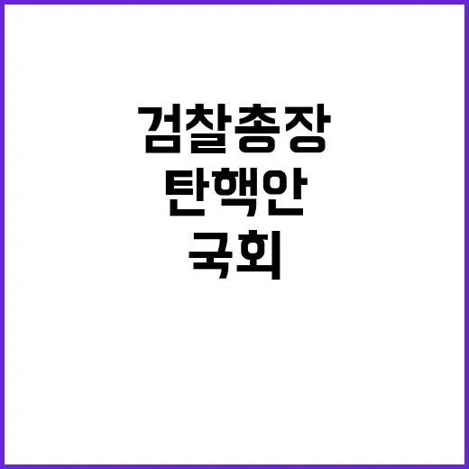 탄핵안 검찰총장 역…