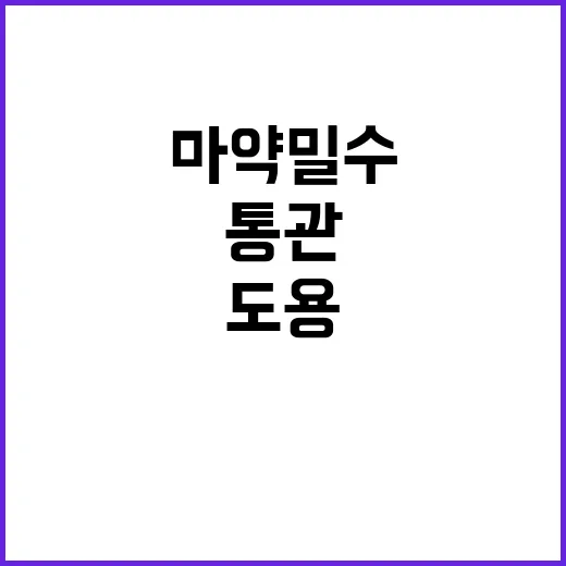 “통관부호 도용 마…