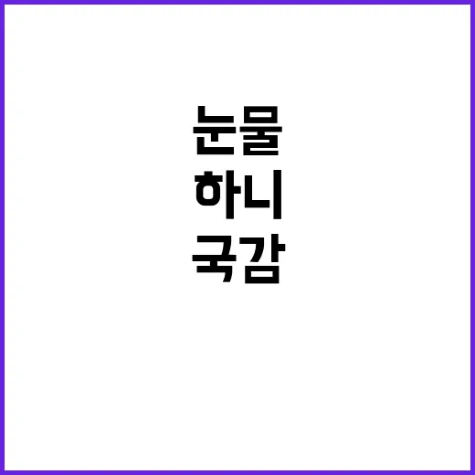 국감 후기 하니 눈…