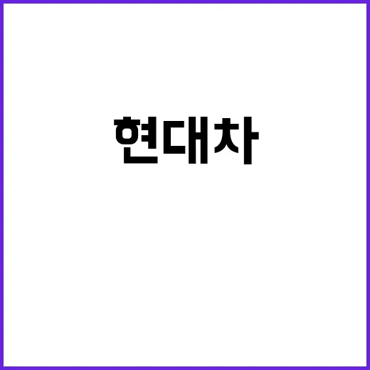 현대차 인도 시장 …