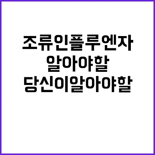 조류인플루엔자 당신…