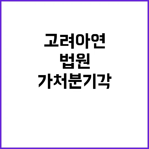 법원 고려아연 가처…