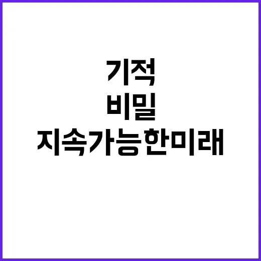 기적의 자원봉사 지…