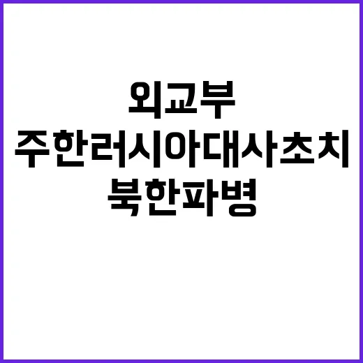 북한 파병 외교부 …