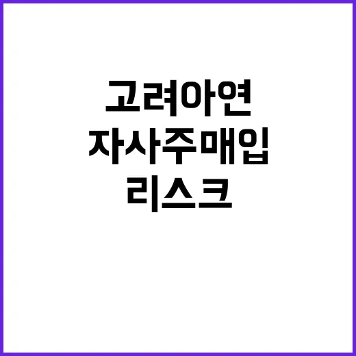 고려아연 자사주 매…