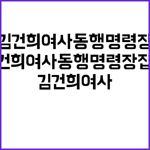 김건희 여사 동행명령장 집행 무산 이유는?