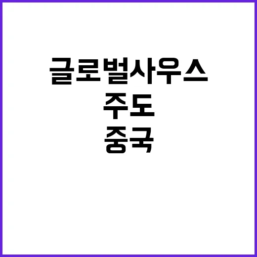 글로벌사우스 중국 …