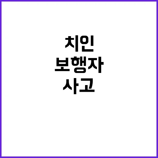 사상 보행자 사고…시내버스에 치인 현장 공개!