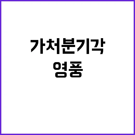 가처분 기각 MBK와 영풍의 반박 내용 공개!