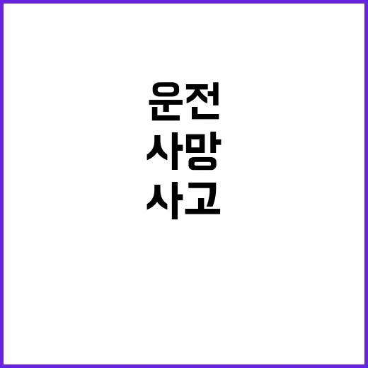 사고 유튜브 보며 운전하다 쾅 도주 후 사망!