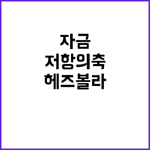 헤즈볼라 자금 전달…