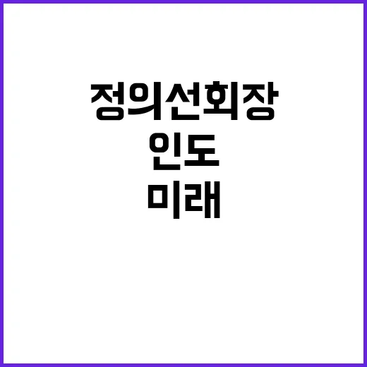 미래 인도 정의선 …