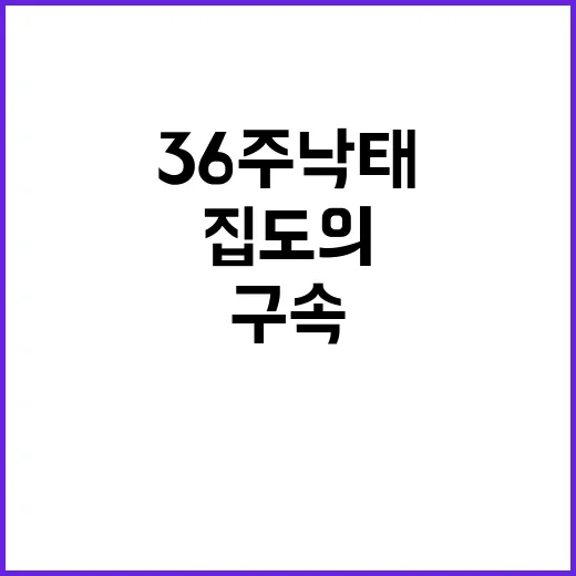 36주 낙태 사건 집도의 구속 여부 주목!